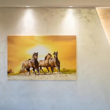 Papillon 3 זלאטיבור