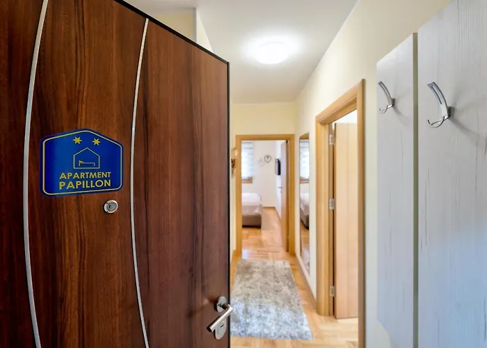 Papillon 3 Златибор