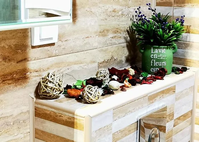 Papillon 3 Златибор